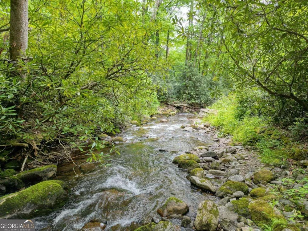 180 Dream Catcher CV Hayesville, NC 28904
