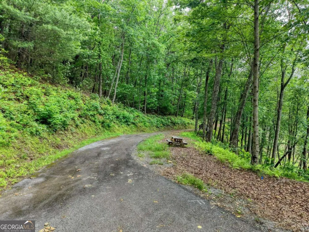22 Buckhead HLS Hiawassee, GA 30546