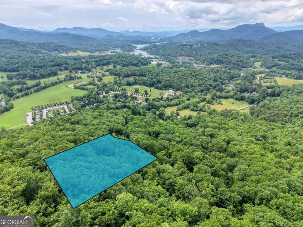 22 Buckhead HLS Hiawassee, GA 30546