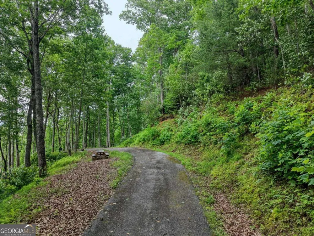 22 Buckhead HLS Hiawassee, GA 30546
