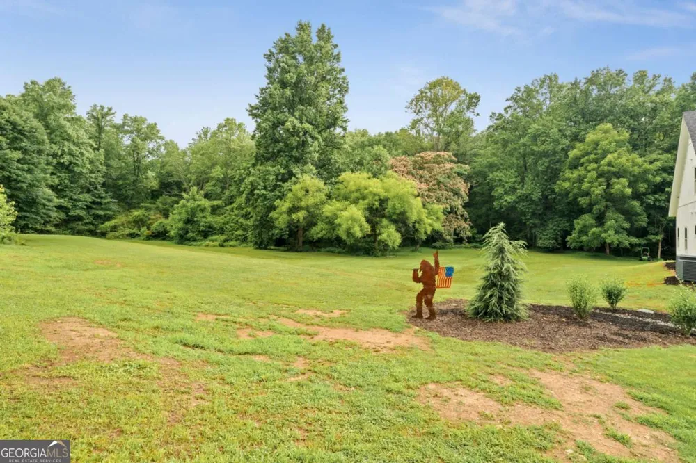 1485 Duffy Grizzle RD Dahlonega, GA 30533