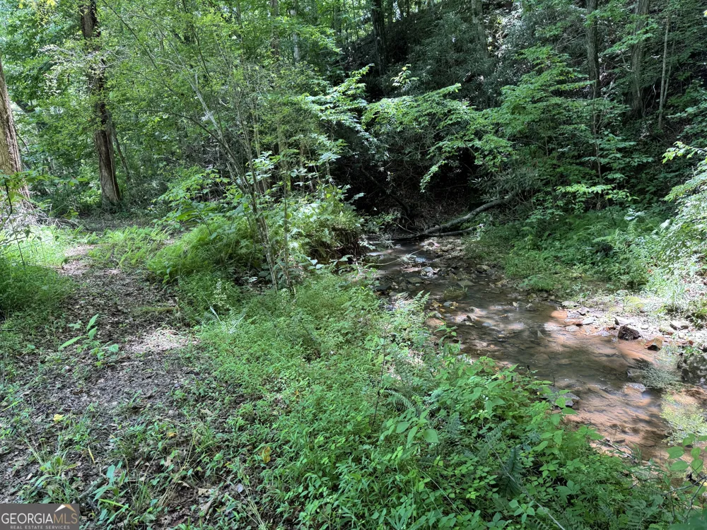 1485 Duffy Grizzle RD Dahlonega, GA 30533