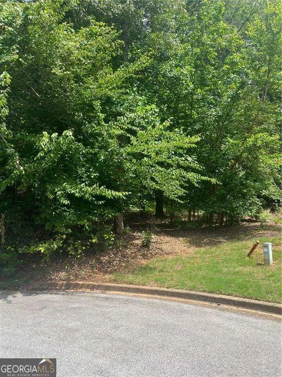 1894 Point River DR Duluth, GA 30097