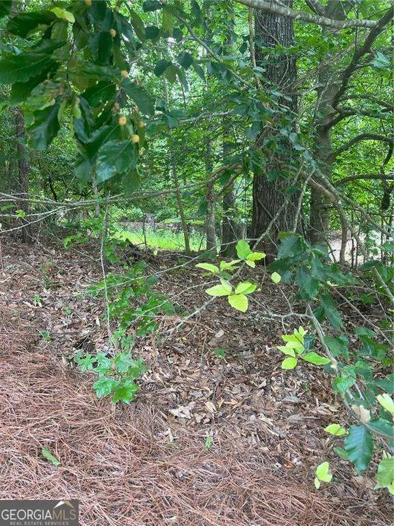 1894 Point River DR Duluth, GA 30097