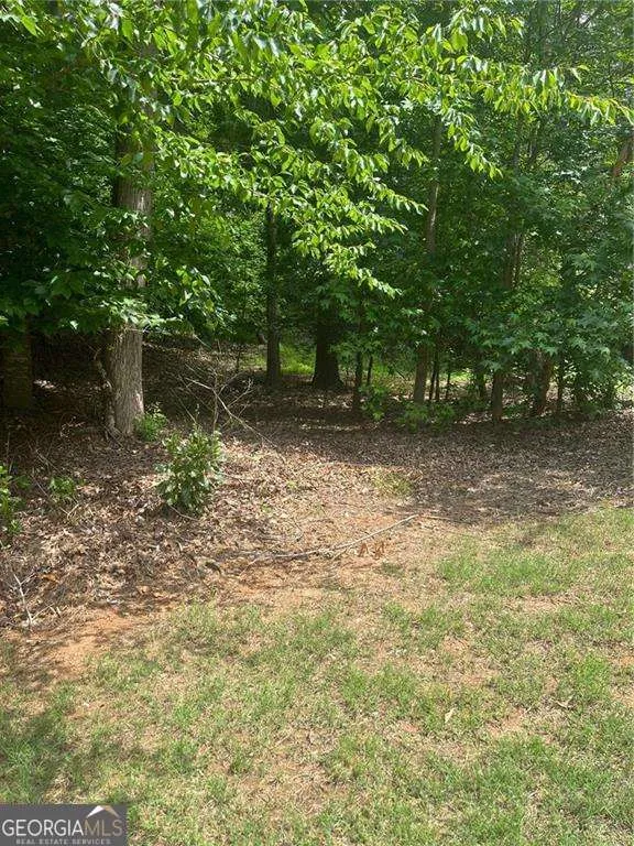 1894 Point River DR Duluth, GA 30097