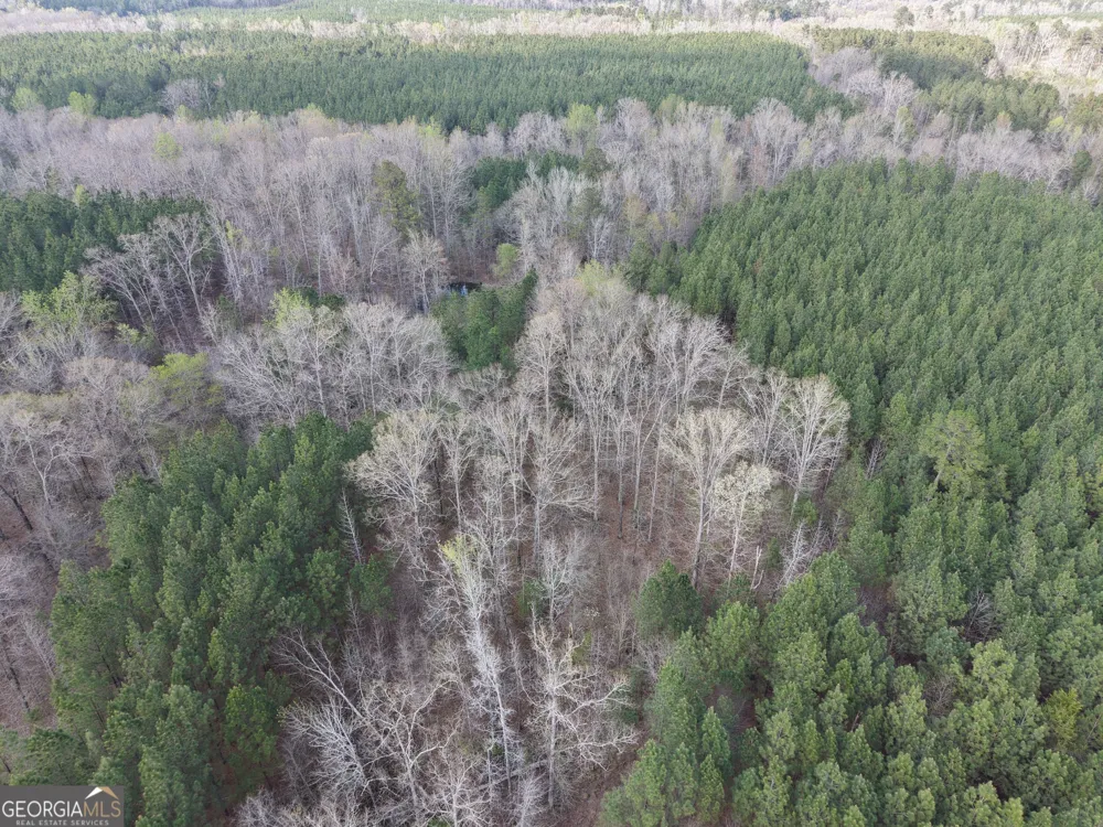 1929 Sharon RD Crawfordville, GA 30631