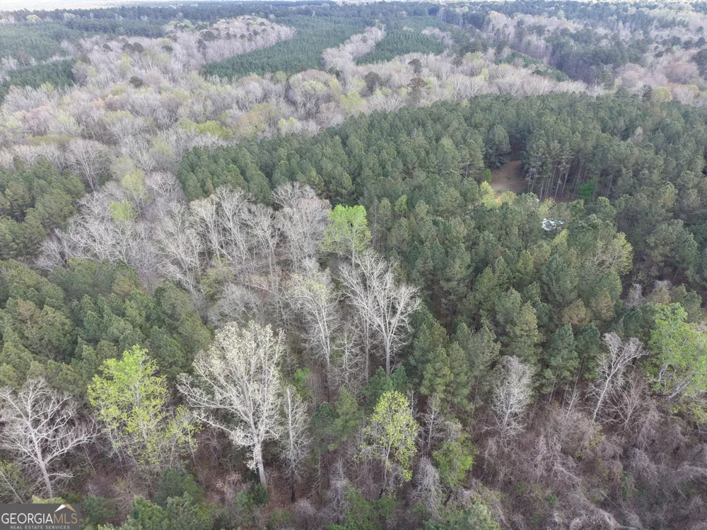 1929 Sharon RD Crawfordville, GA 30631