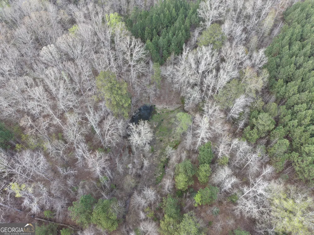 1929 Sharon RD Crawfordville, GA 30631