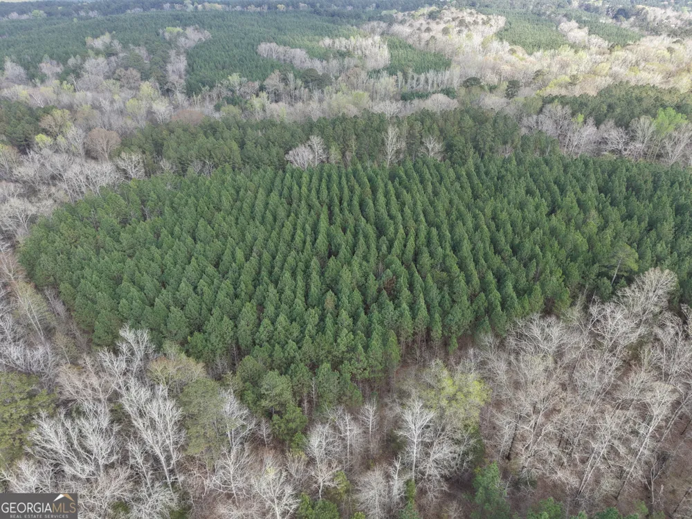 1929 Sharon RD Crawfordville, GA 30631