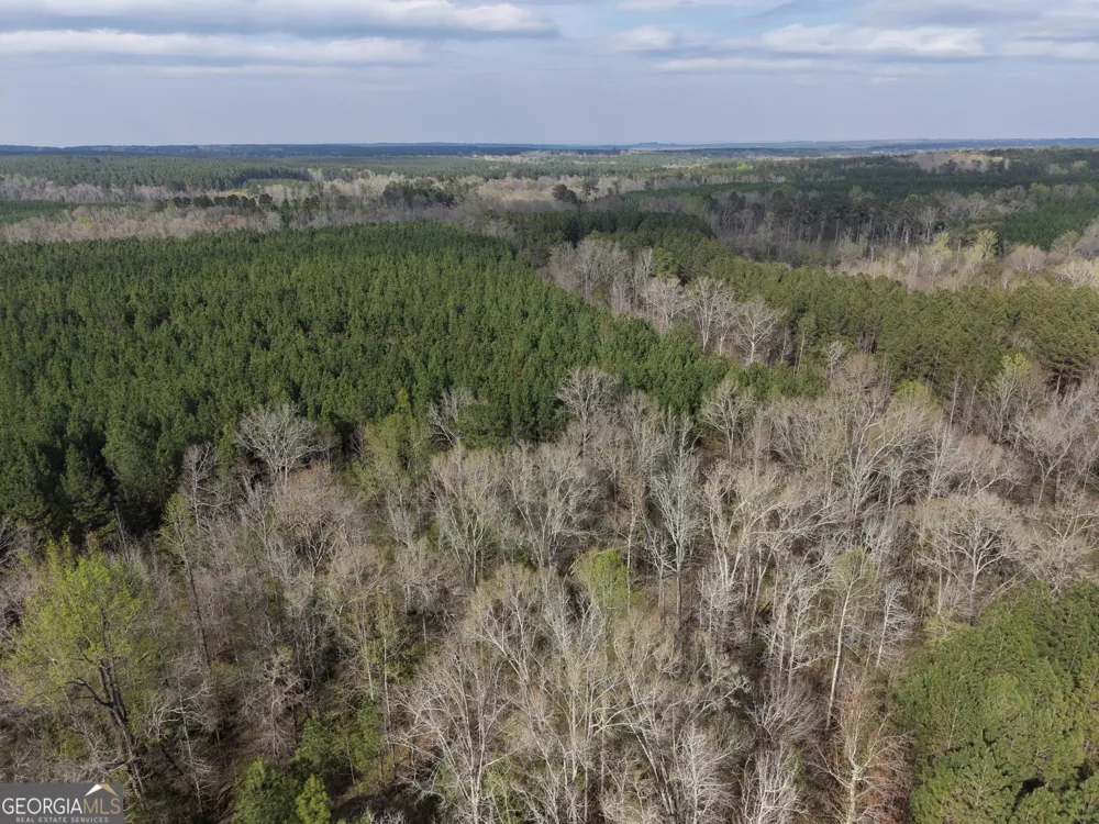 1929 Sharon RD Crawfordville, GA 30631