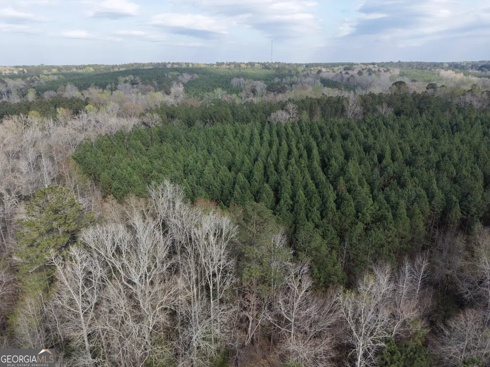 1929 Sharon RD Crawfordville, GA 30631