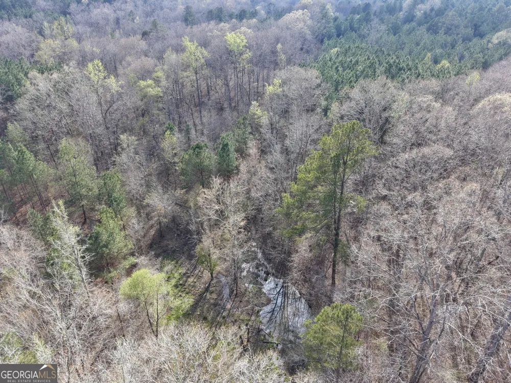 1929 Sharon RD Crawfordville, GA 30631