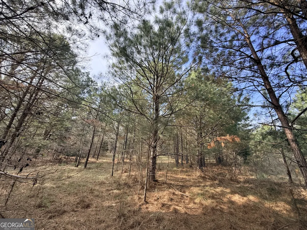 1929 Sharon RD Crawfordville, GA 30631