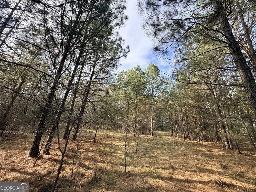 1929 Sharon RD Crawfordville, GA 30631