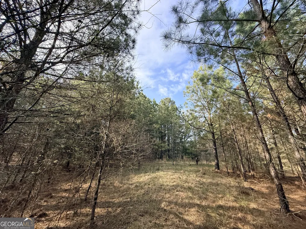 1929 Sharon RD Crawfordville, GA 30631