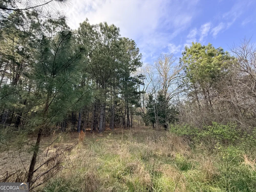 1929 Sharon RD Crawfordville, GA 30631