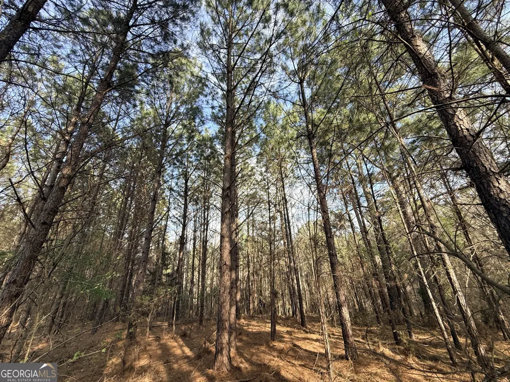 1929 Sharon RD Crawfordville, GA 30631