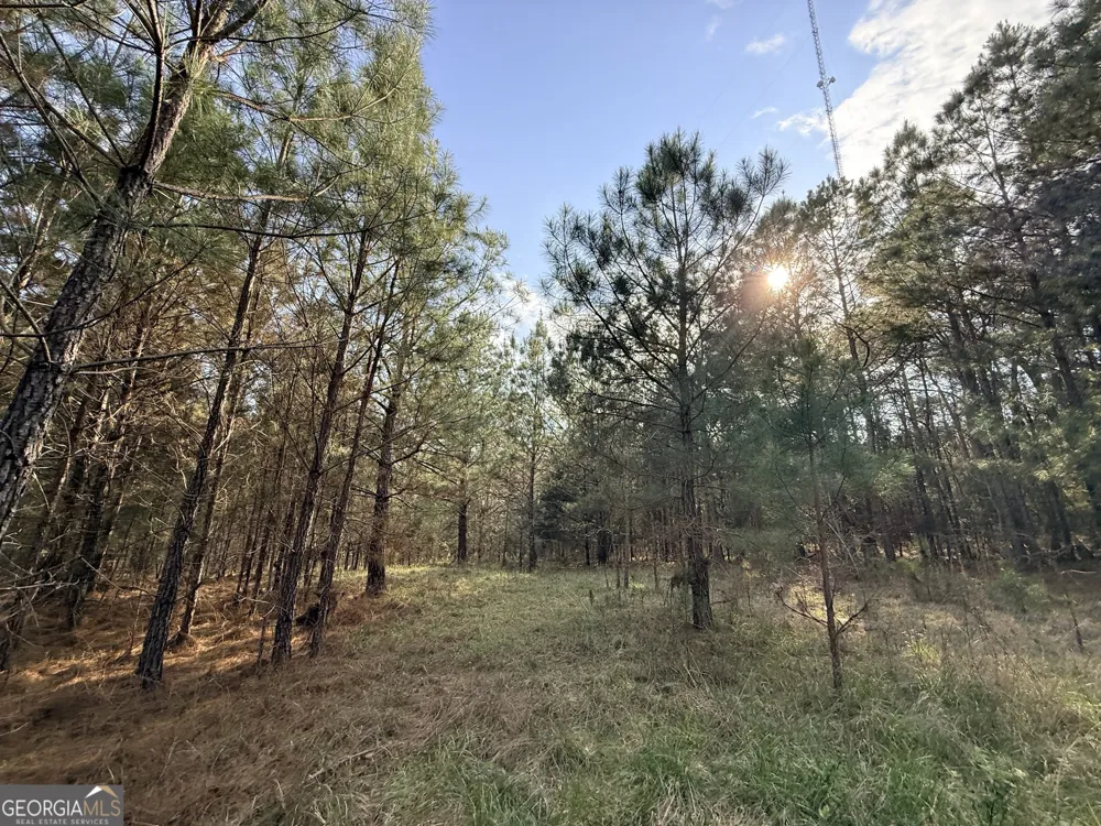 1929 Sharon RD Crawfordville, GA 30631