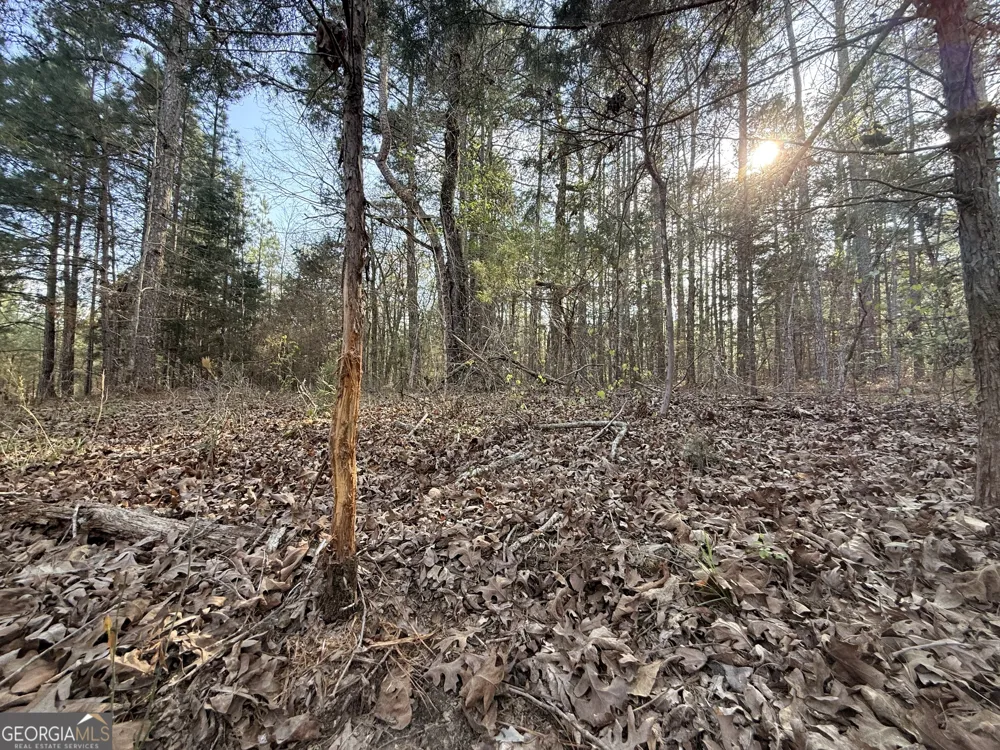 1929 Sharon RD Crawfordville, GA 30631