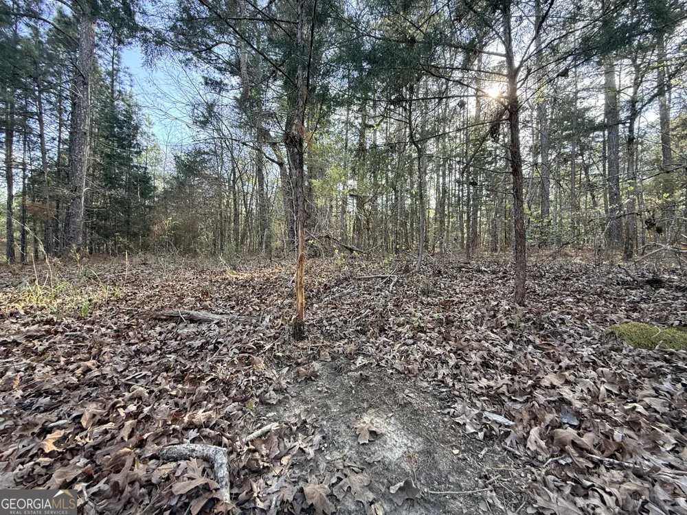 1929 Sharon RD Crawfordville, GA 30631