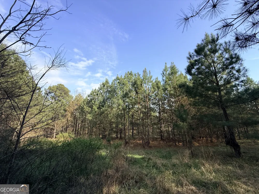 1929 Sharon RD Crawfordville, GA 30631