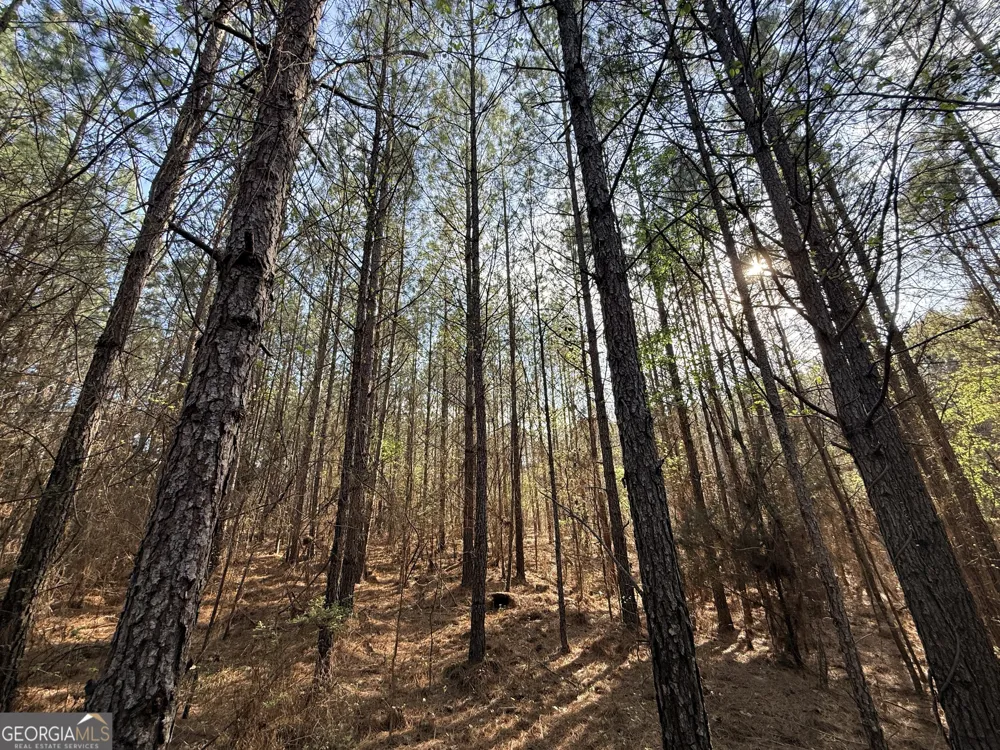 1929 Sharon RD Crawfordville, GA 30631