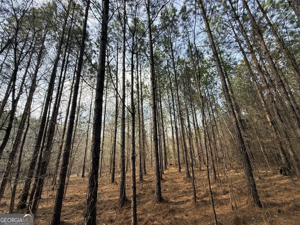 1929 Sharon RD Crawfordville, GA 30631