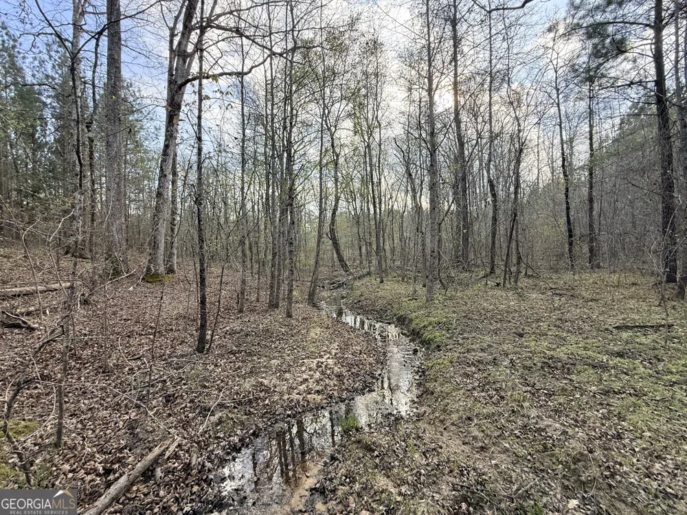 1929 Sharon RD Crawfordville, GA 30631