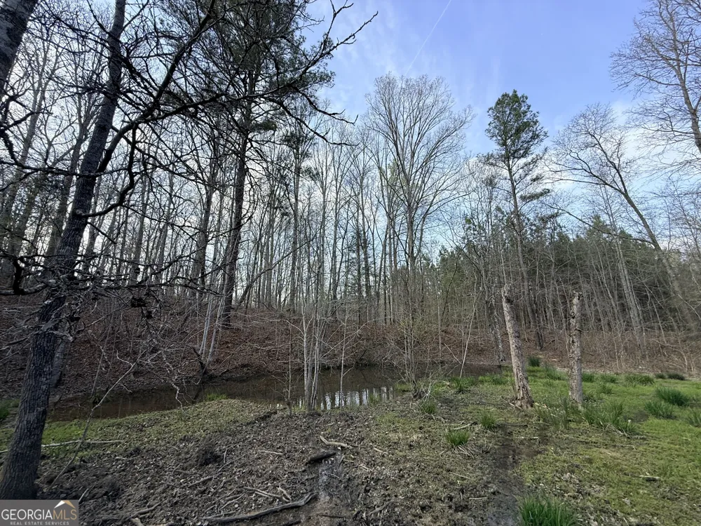 1929 Sharon RD Crawfordville, GA 30631