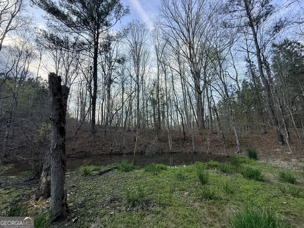 1929 Sharon RD Crawfordville, GA 30631