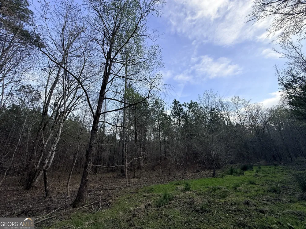 1929 Sharon RD Crawfordville, GA 30631
