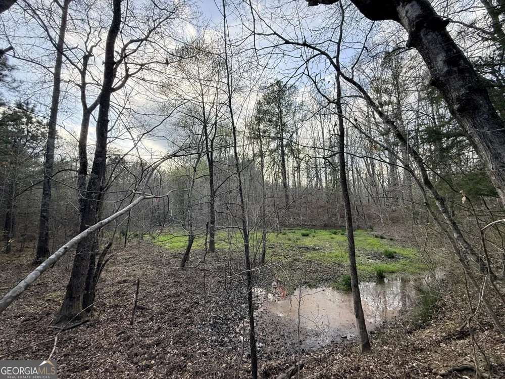 1929 Sharon RD Crawfordville, GA 30631