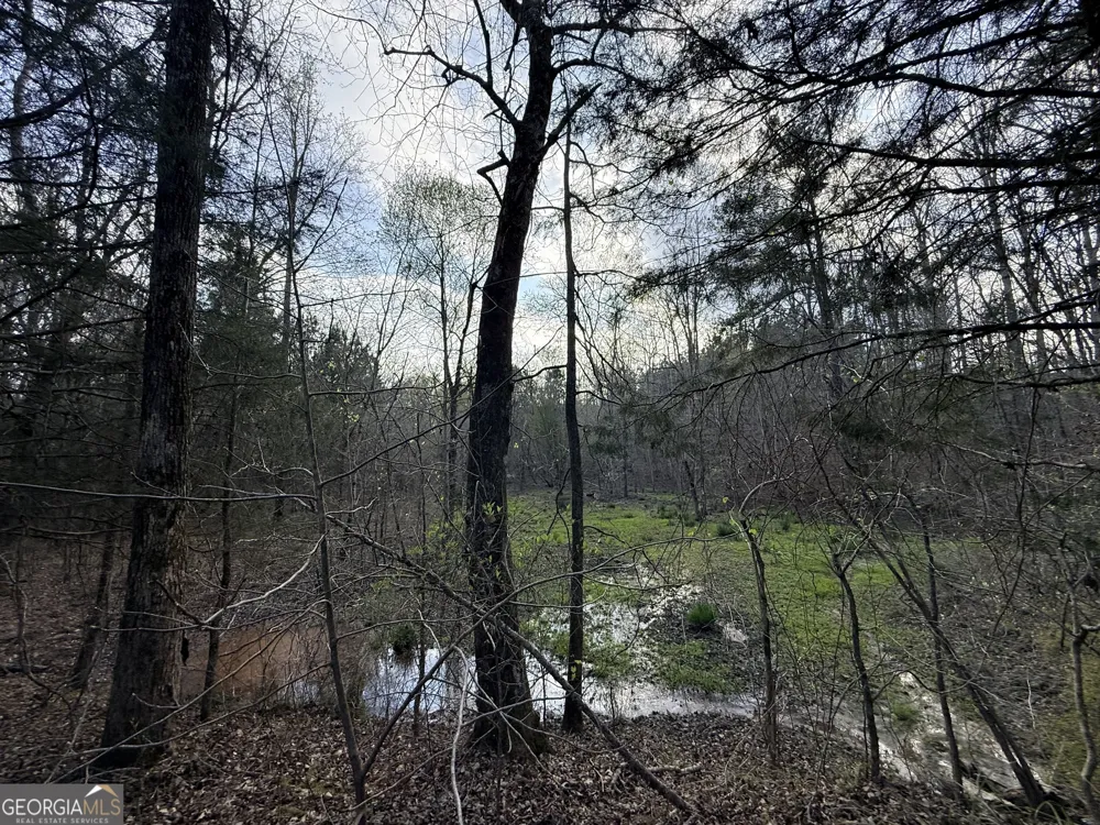 1929 Sharon RD Crawfordville, GA 30631