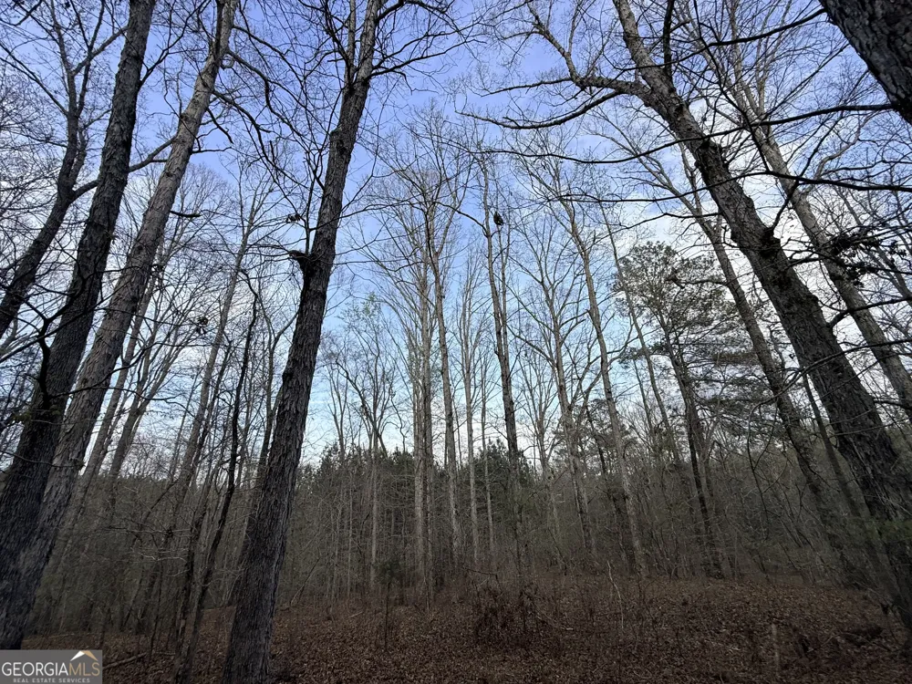 1929 Sharon RD Crawfordville, GA 30631