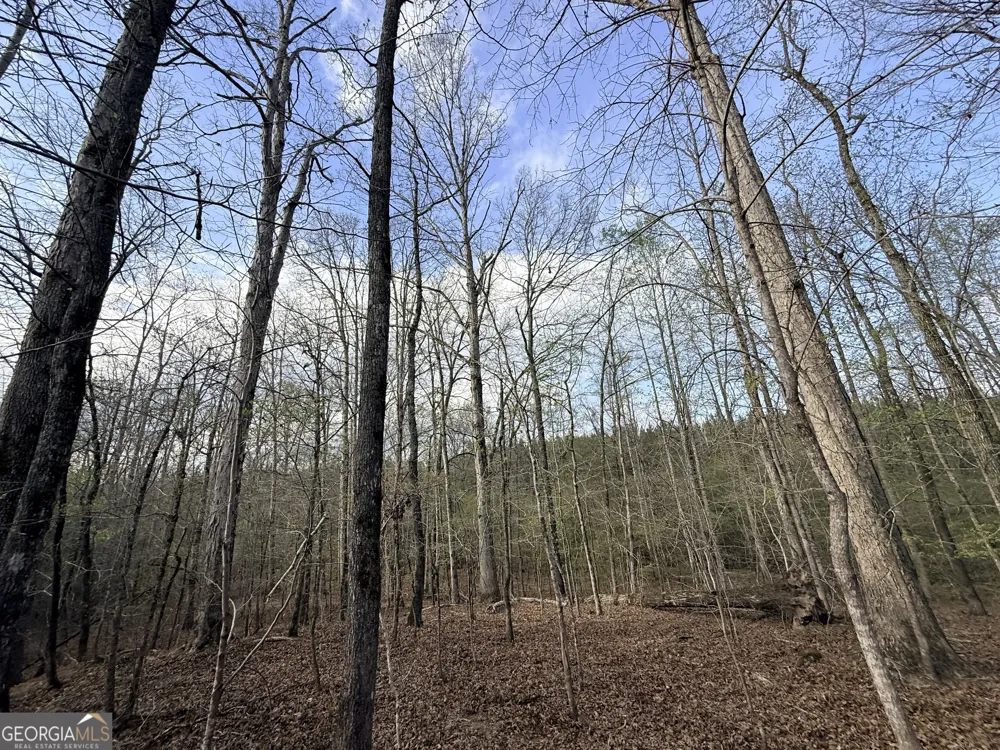 1929 Sharon RD Crawfordville, GA 30631