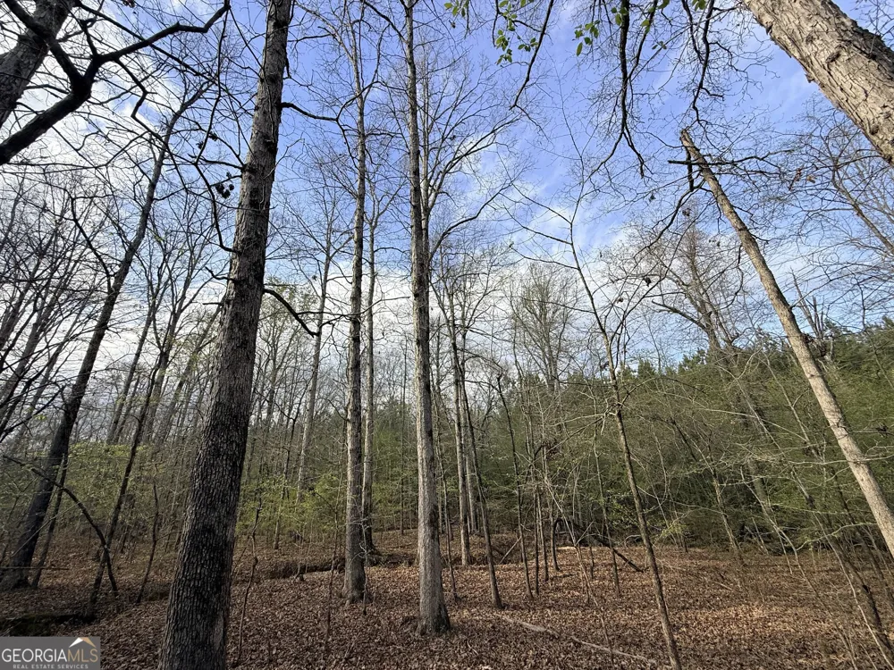 1929 Sharon RD Crawfordville, GA 30631