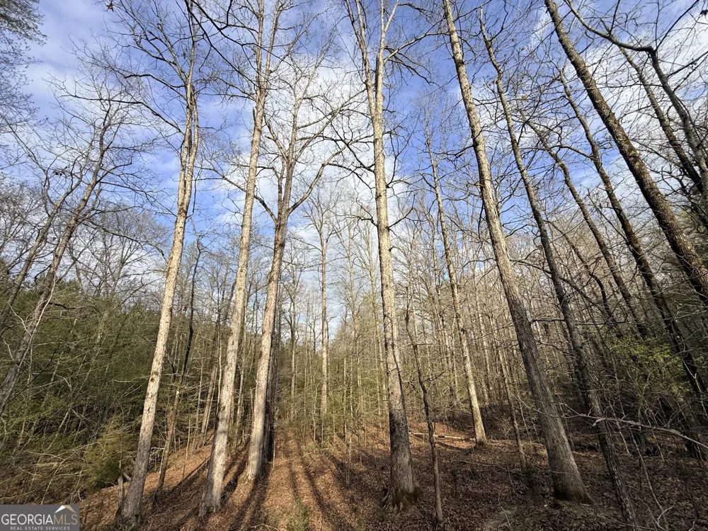 1929 Sharon RD Crawfordville, GA 30631