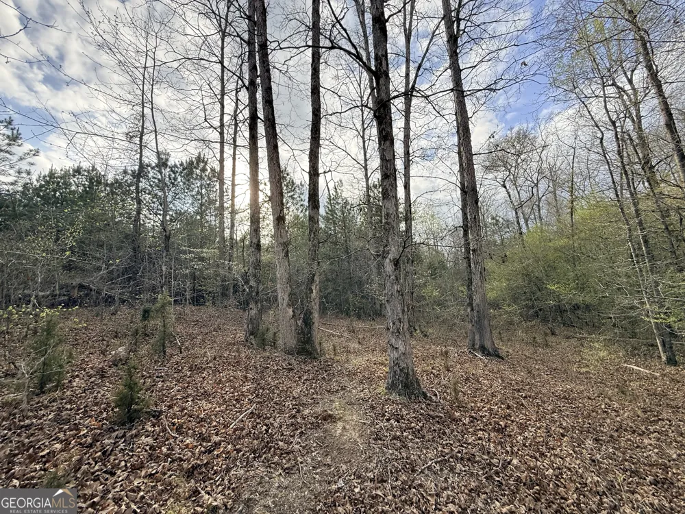 1929 Sharon RD Crawfordville, GA 30631