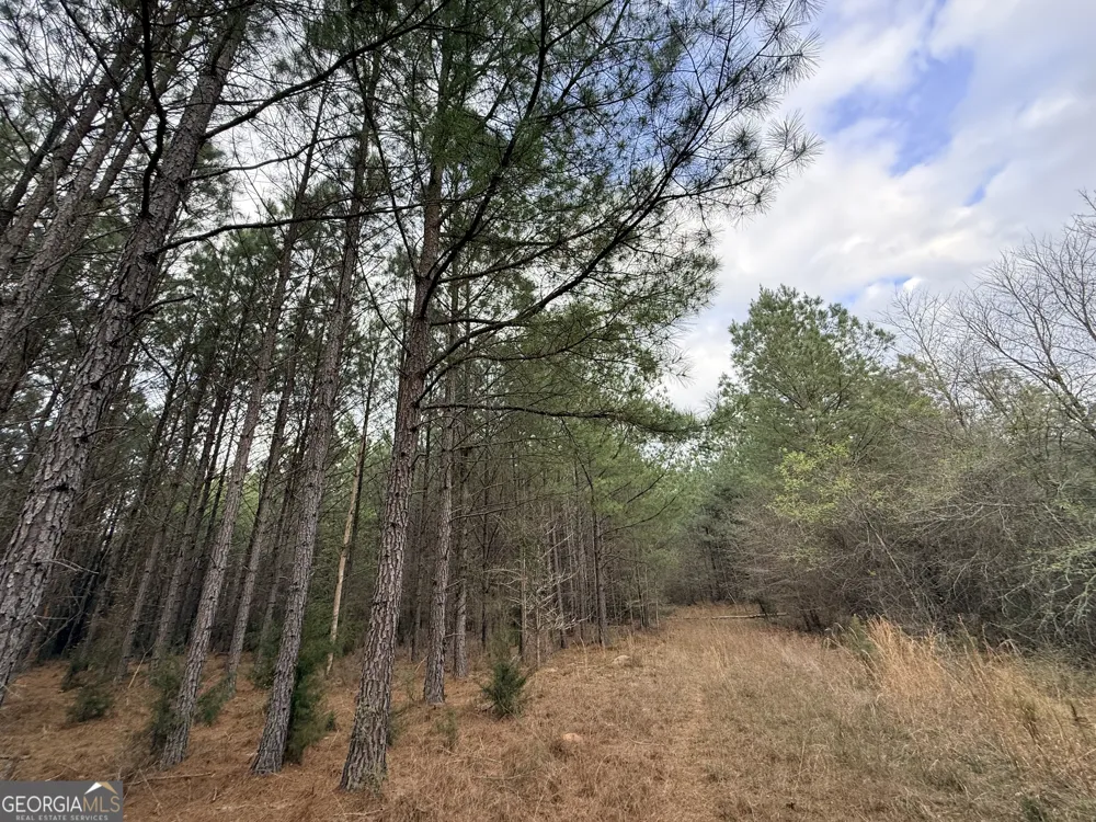 1929 Sharon RD Crawfordville, GA 30631