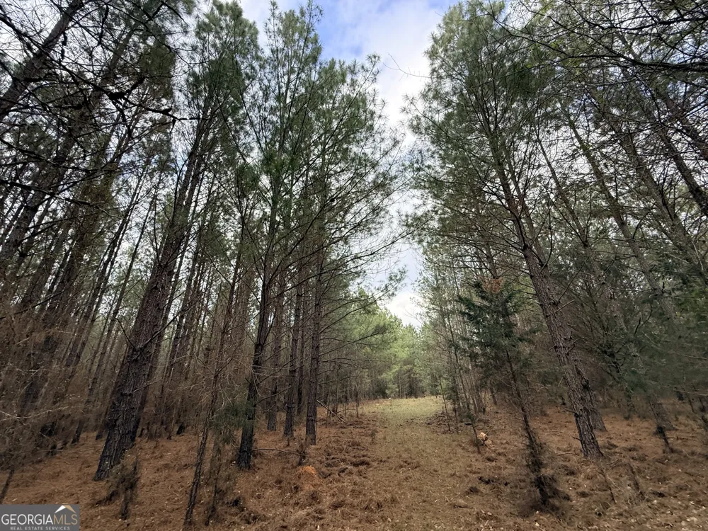 1929 Sharon RD Crawfordville, GA 30631