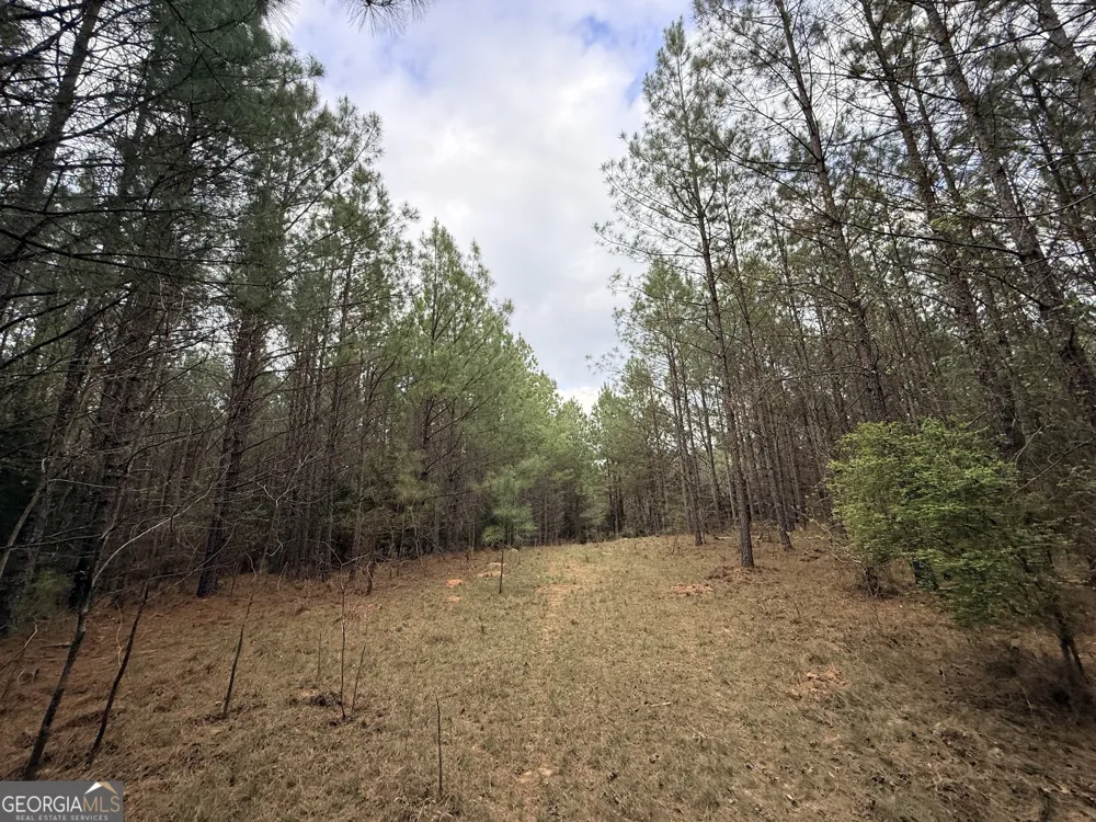 1929 Sharon RD Crawfordville, GA 30631