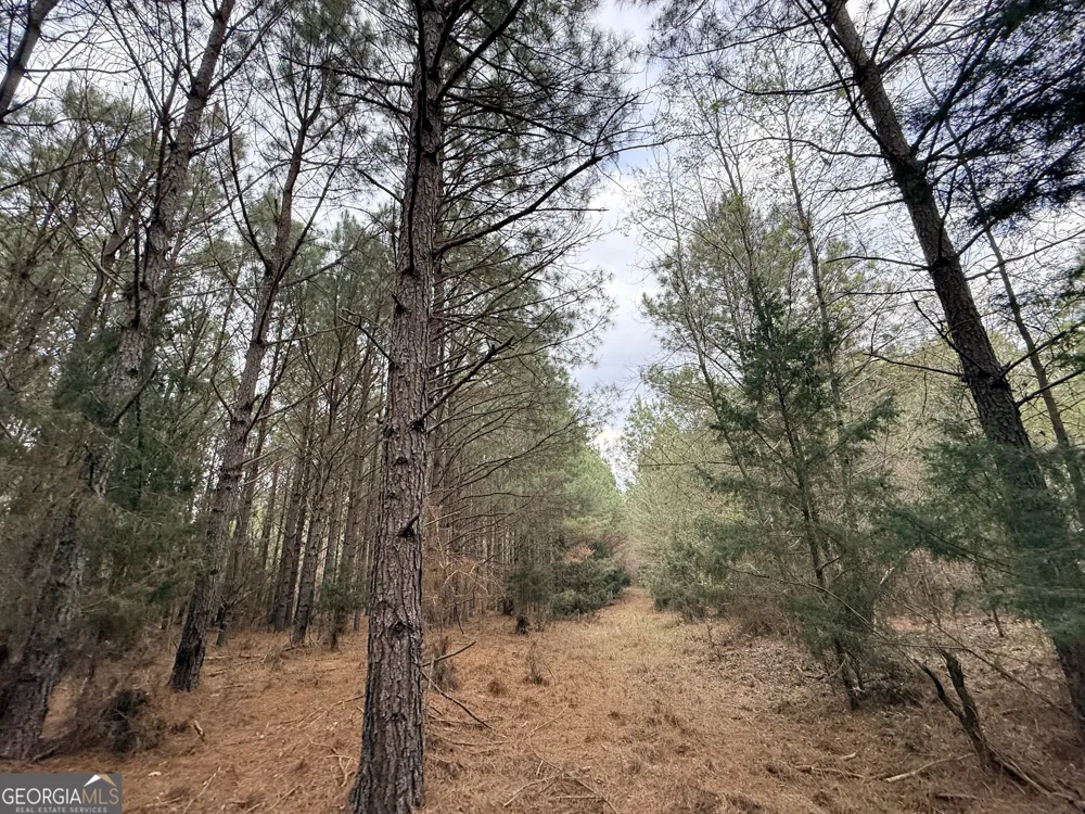 1929 Sharon RD Crawfordville, GA 30631