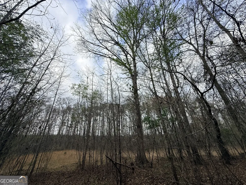 1929 Sharon RD Crawfordville, GA 30631