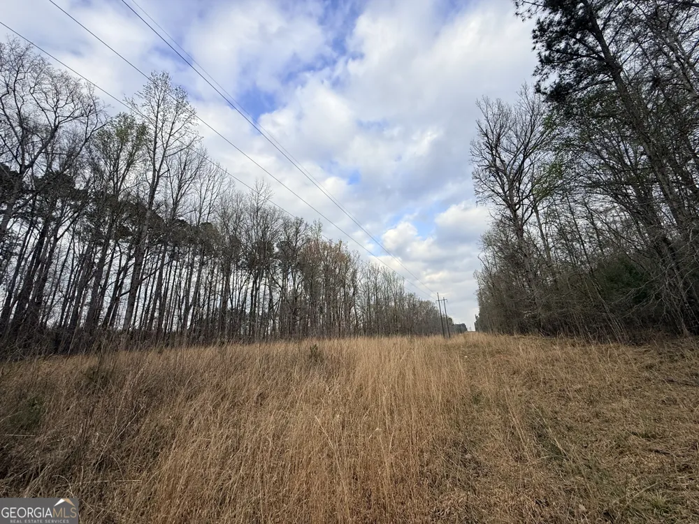 1929 Sharon RD Crawfordville, GA 30631