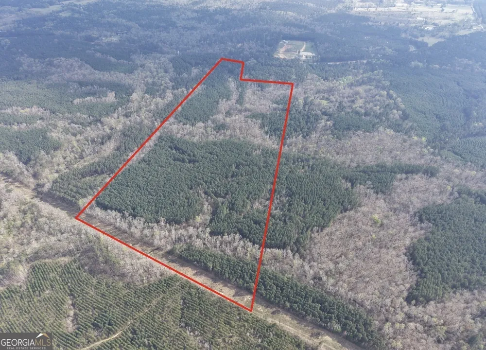 1929 Sharon RD Crawfordville, GA 30631