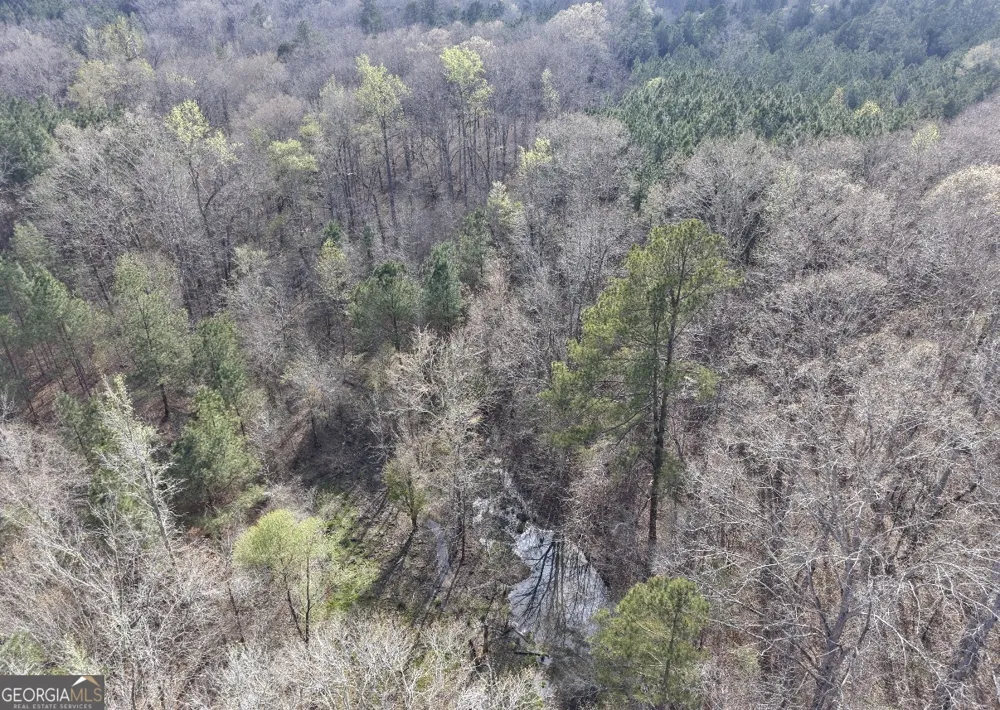 1929 Sharon RD Crawfordville, GA 30631