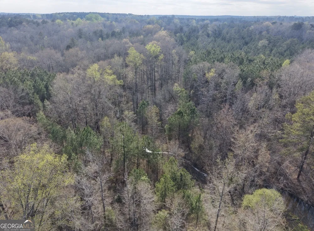 1929 Sharon RD Crawfordville, GA 30631