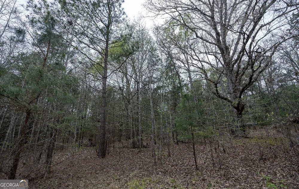 1929 Sharon RD Crawfordville, GA 30631
