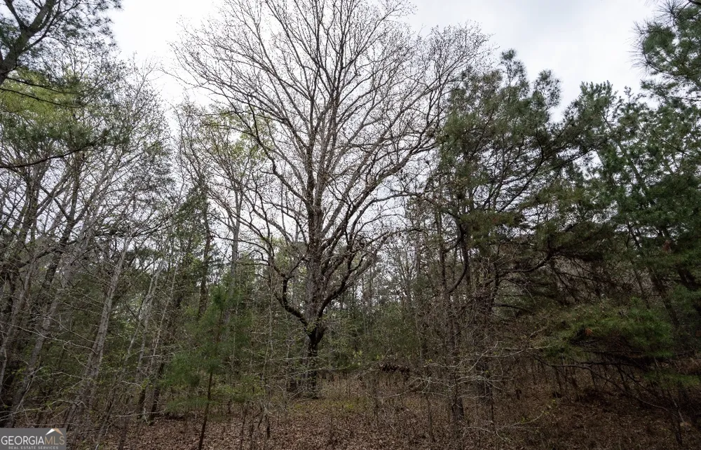 1929 Sharon RD Crawfordville, GA 30631