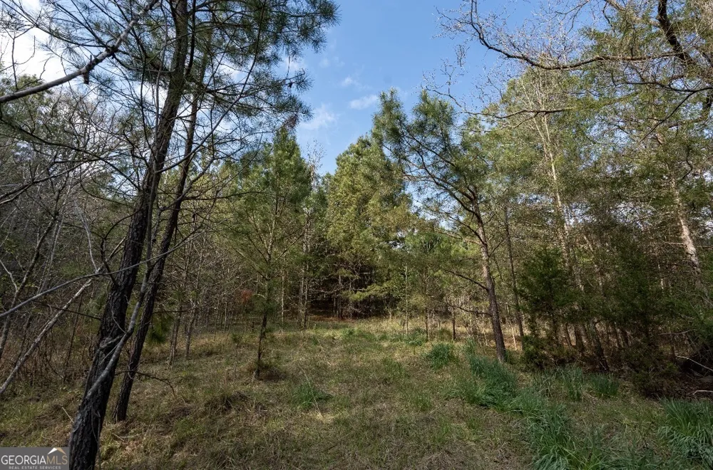 1929 Sharon RD Crawfordville, GA 30631